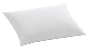 Подушка Dauny Soft Plus пуховая 50х70 см Billerbeck (А3100-Е1)