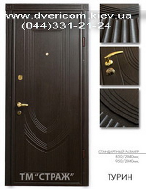Входные двери  Страж модель Турин
