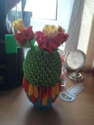 Кактус Кактус