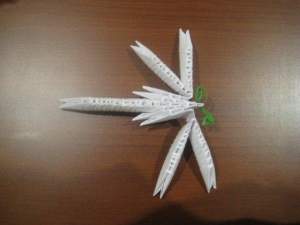 Стрекоза Стрекоза