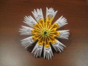 Ромашка Ромашка