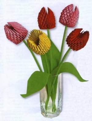 Тюльпаны Тюльпаны