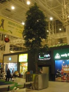 Фирменные кашпо из нержавеющий стали поставляются под заказ, любых размеров