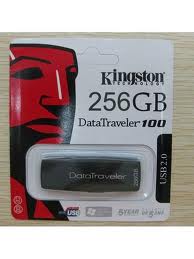 Kingston DataTraveler 100