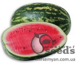 Арбуз Думара F1 1000 семян. (Nunhems)