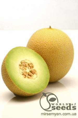 Дыня Джукар F1 1000 семян. (Rijk Zwaan)