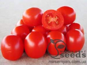 Помидоры Вулкан F1 25 000 семян.  (Nunhems)