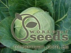 Капуста Байонет  F1 2500 семян. (Bejo)
