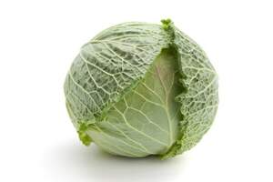 Капуста савойская Морама F1 2500 семян. (Rijk Zwaan)