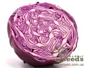 Капуста Ред Харизма  F1 2500 семян. (Rijk Zwaan)