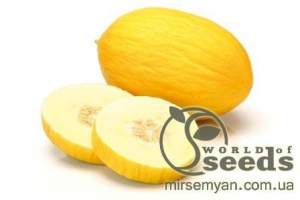 Дыня Дукрал F1 1000 семян. (Rijk Zwaan)