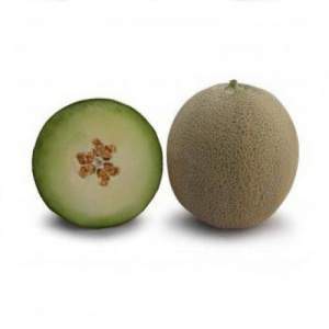 Дыня КS 7044 F1 1000 семян. (Kitano)