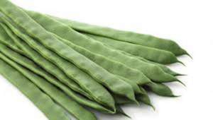 Фасоль спаржевая Файза 250 семян. (Rijk Zwaan)