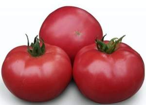 Помидоры Асано F1 1000 семян. (Kitano)