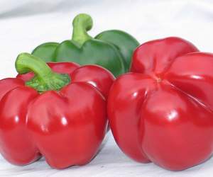 Перец Уилд F1 500 семян. (Lark Seeds)